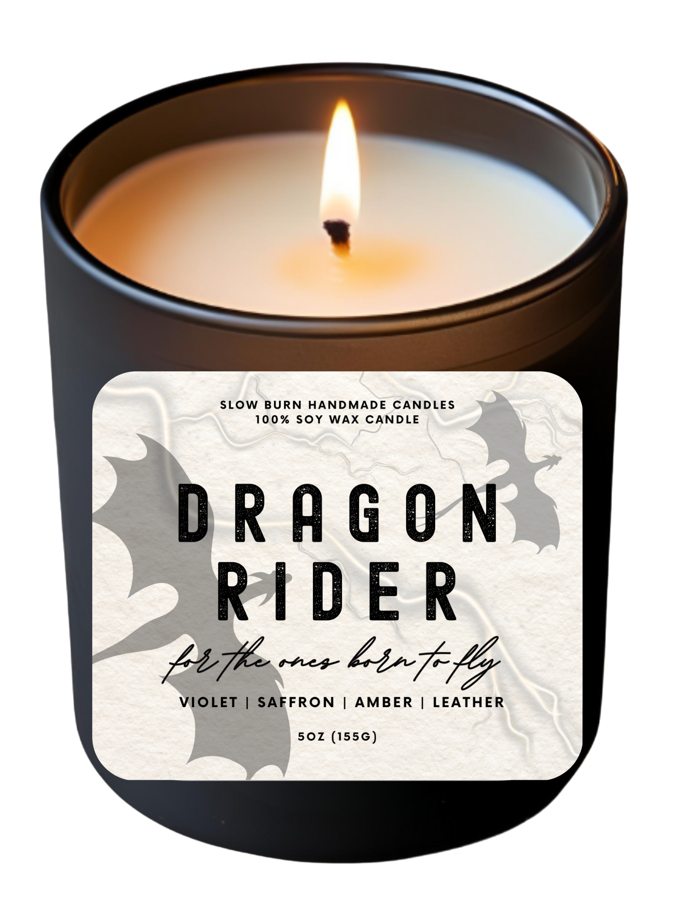 Dragon Rider