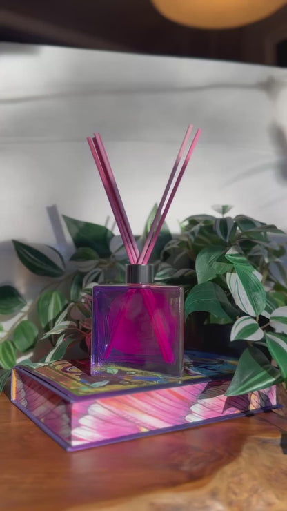 Book Dragon Shelf Diffuser